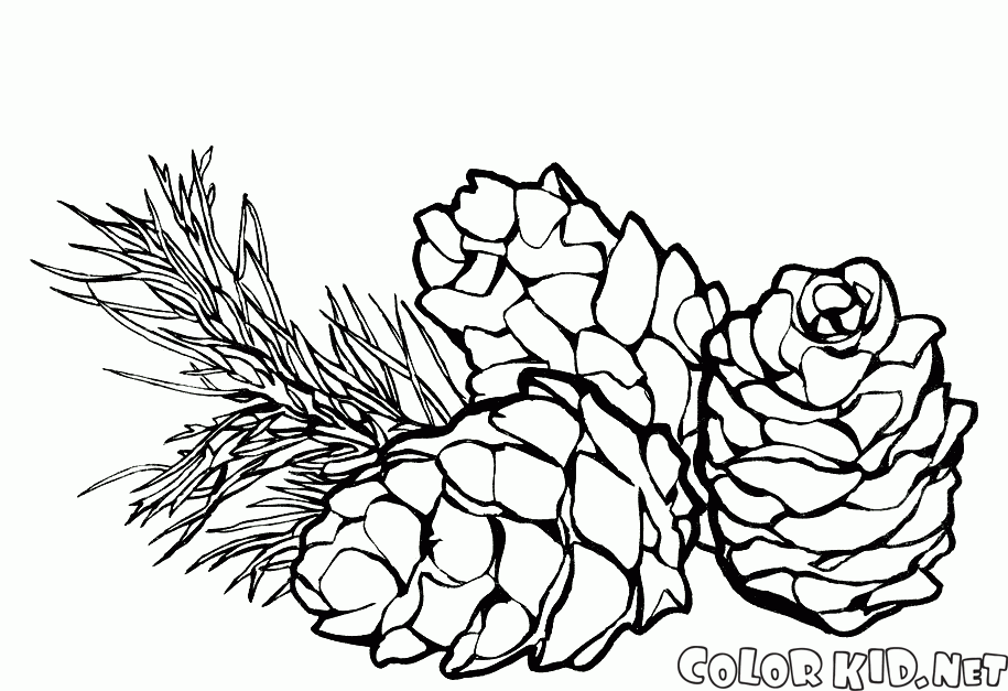 915x627 Coloring Page