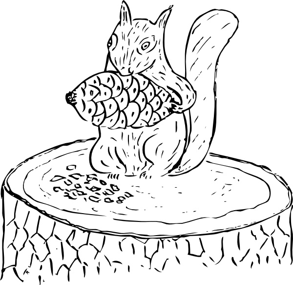 600x583 Squirrel Eating Pine Cone Clip Art Free Vector In Open Office
