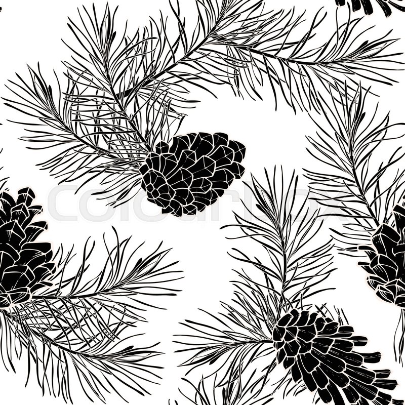 800x800 Hand Drawn Seamless Pattern With Pine Cones And Branches