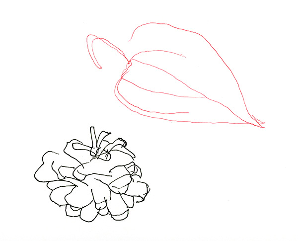 600x485 October's Blind Contour Drawings