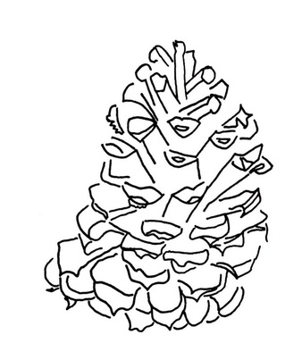 338x403 Category Practice