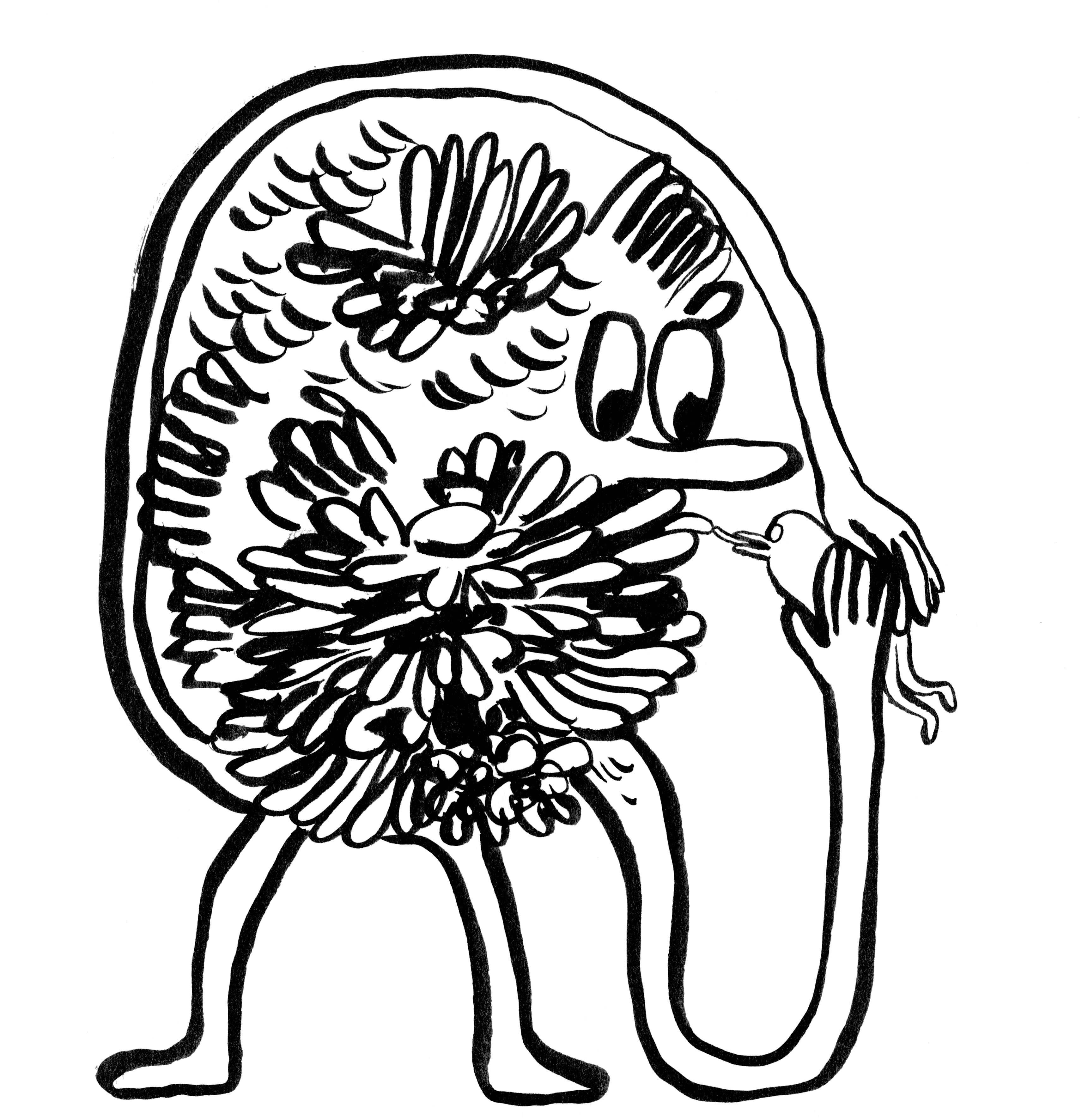 3424x3544 Pine Cone Man