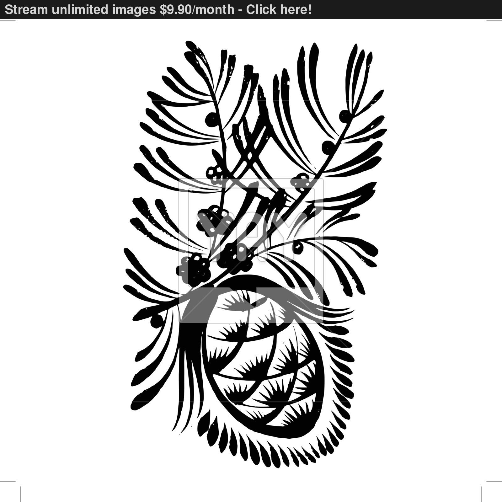 1600x1600 Decorative Silhouette Pine Cone With Pine Needles Vector