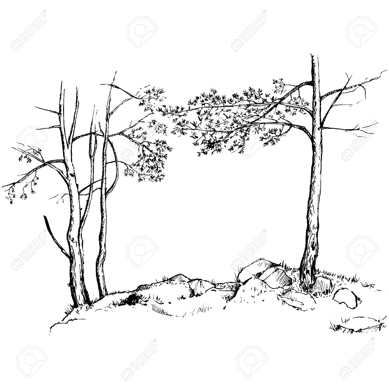 1300x1300 Hand Drawn Nature Drawings Pine Trees, Grass And Rocks Drawing By