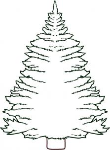 223x302 How To Draw How To Draw A Pine Tree
