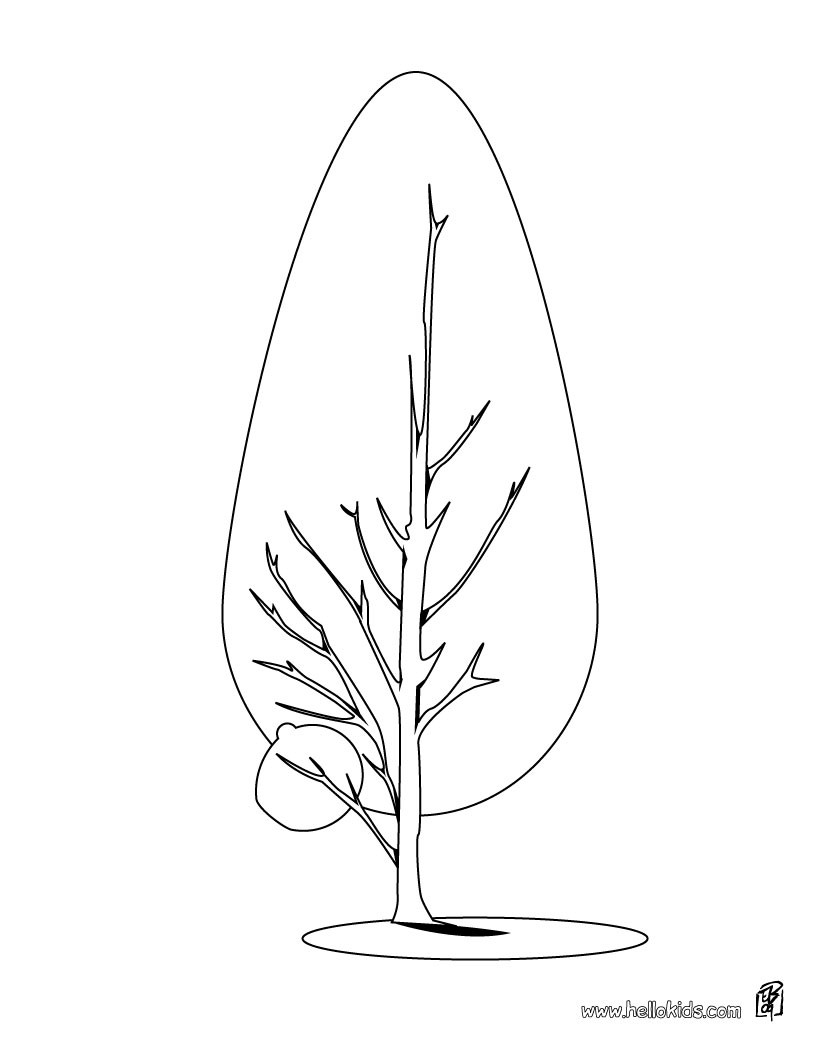 820x1060 Pine Tree Coloring Pages