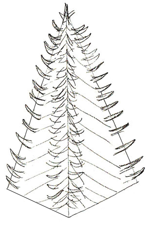 300x464 How To Draw A Christmas Tree