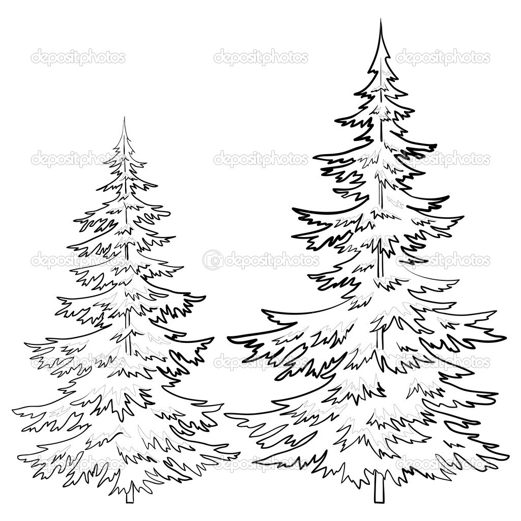 1024x1024 Pine Tree Line Drawing Pine Tree Drawings Black And White