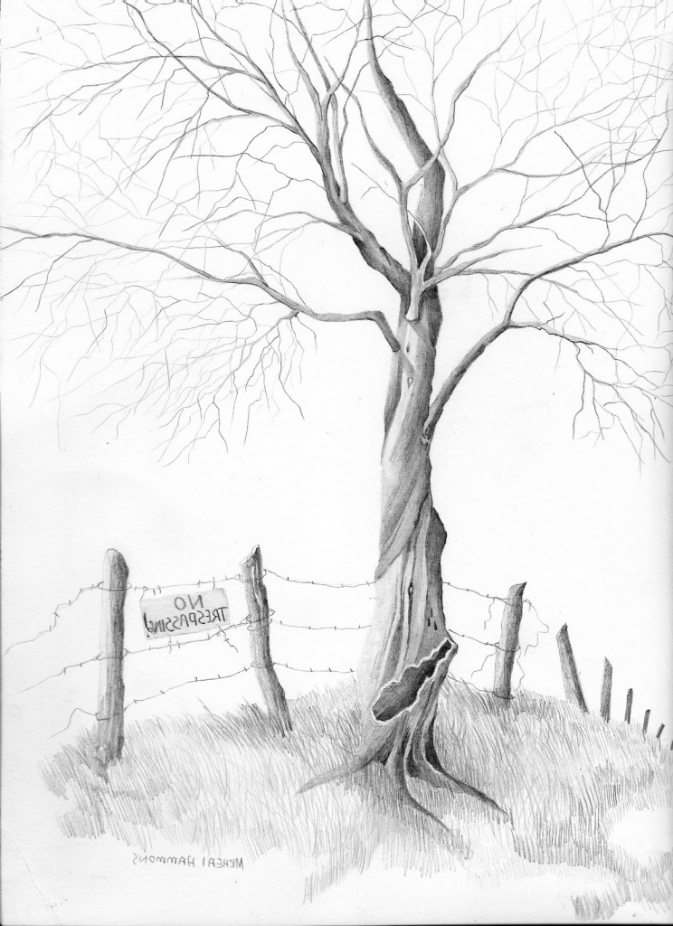 744x1024 Trees Pencil Drawing