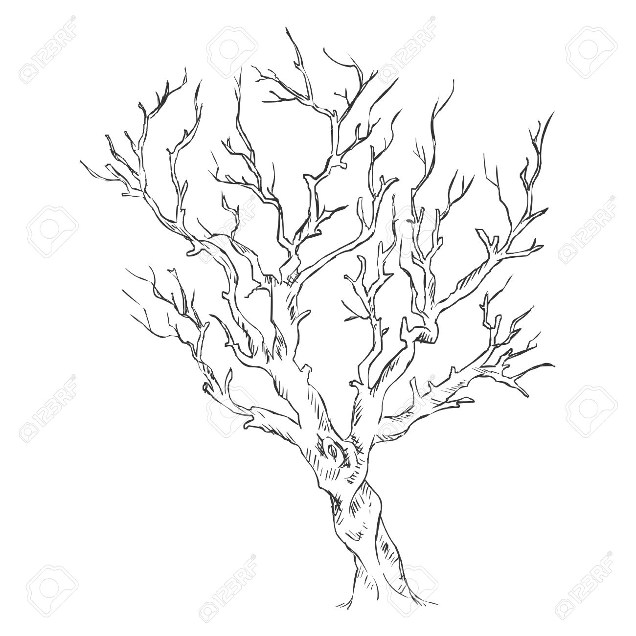 1300x1300 Vector Single Sketch Bare Tree Royalty Free Cliparts, Vectors,