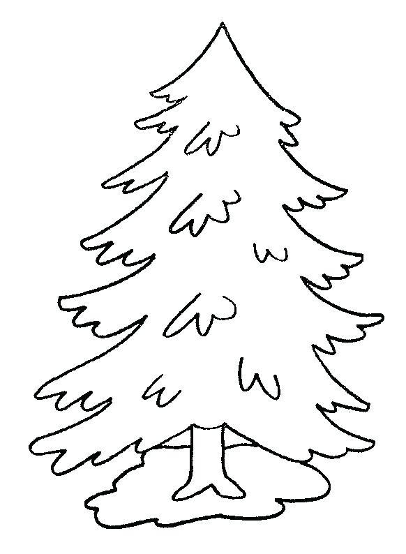 582x794 Trees To Color Best Collection Coloring Pages