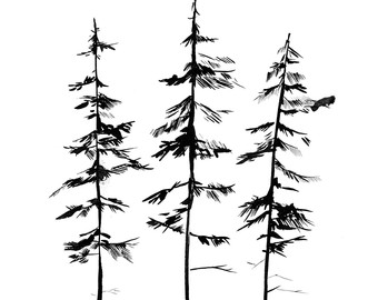 340x270 Pine Tree Forest, Three Tree Illustrations, Minimalist Drawing