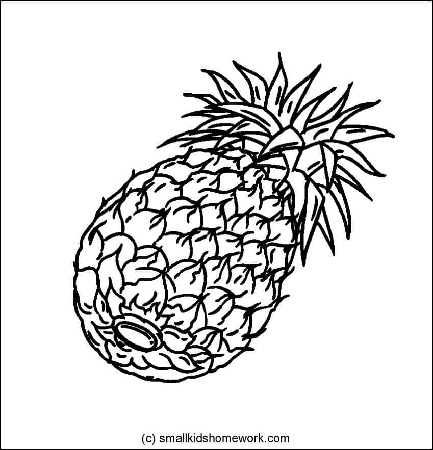 849x883 Fruits Outline Pictures And Coloring Pages For Little Kids