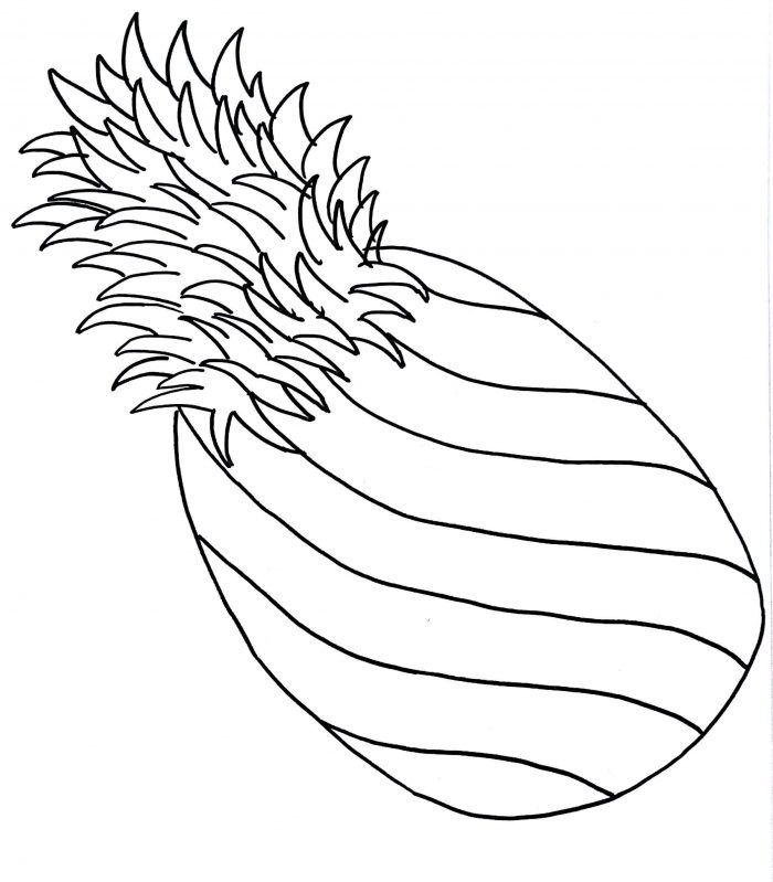 700x799 How To Draw A Pineapple Step By Step Drawing Tutorials Fruits