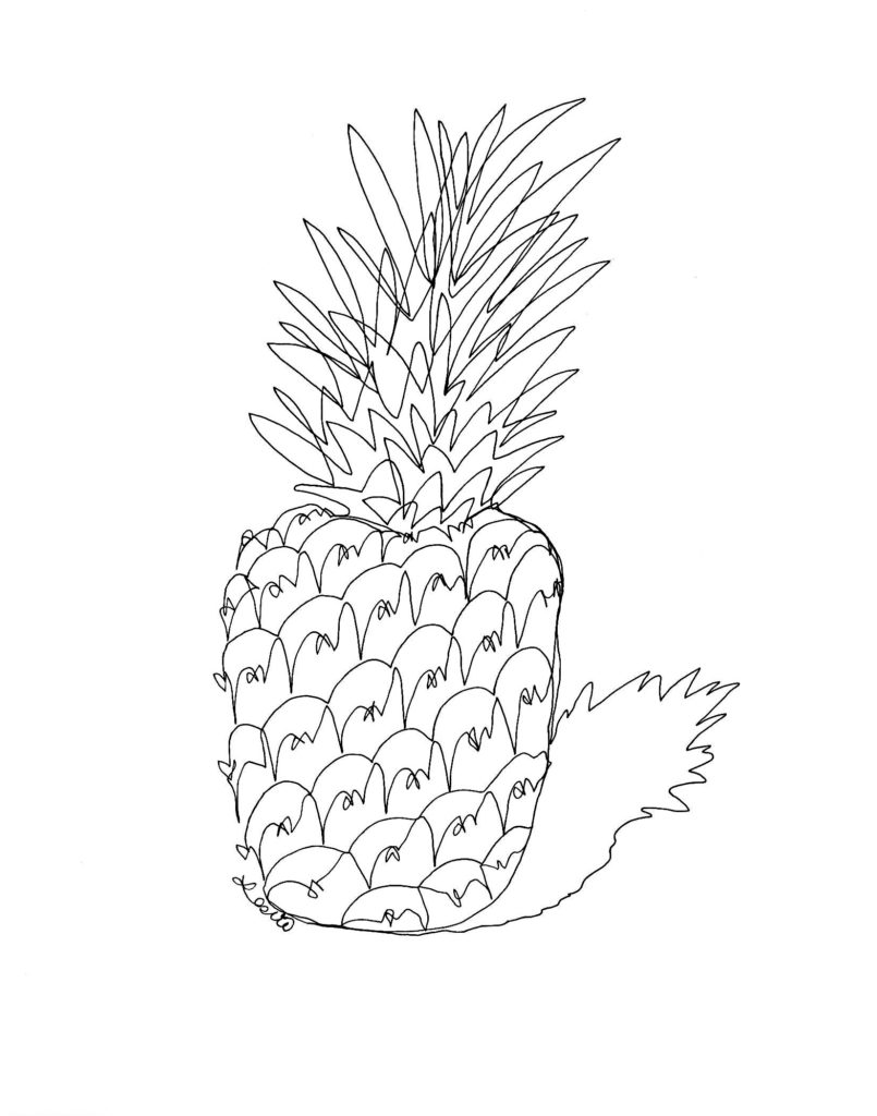 805x1024 Pineapple Archives