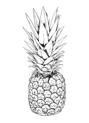 288x400 Pineapple Royalty Free Vector Clip Art Image