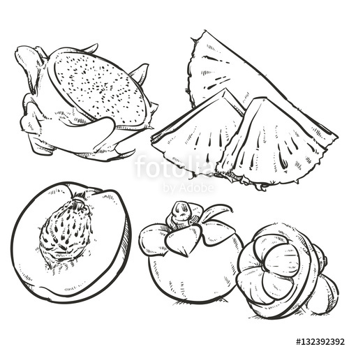 500x500 Drawing Pineapple Slices Sketch, Hand Drawn Fruits Clip Art Stock