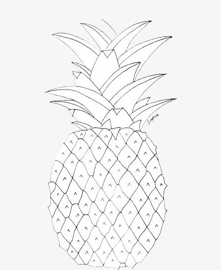 440x537 Hand Painted Pineapple,line Drawing,black And White Pineapple