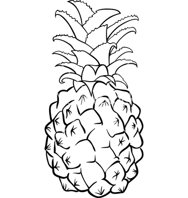 380x400 Pineapple Fruit For Coloring Book Vector 1348751