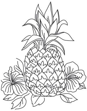 300x382 The Best Pineapple Sketch Ideas On Pineapple