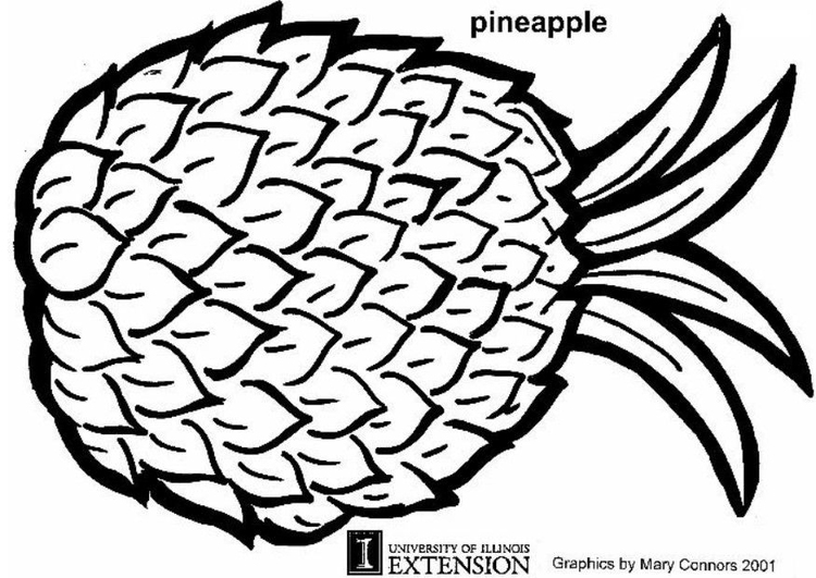 750x531 Coloring Page Pineapple