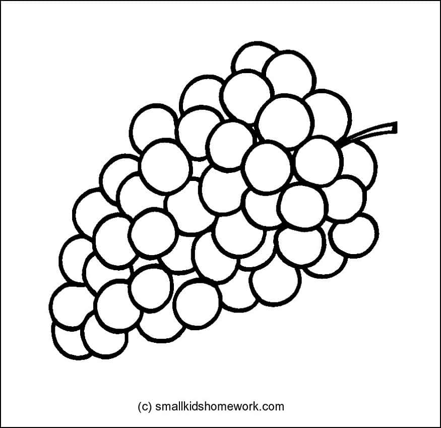 875x849 Fruits Outline Pictures And Coloring Pages For Little Kids