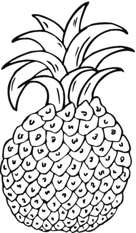 279x480 Pineapple 6 Coloring Page Free Printable Coloring Pages