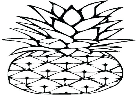 476x333 This Is Pineapple Coloring Page Pictures Pineapple Outline