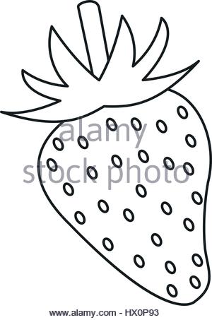 300x453 Vector Outline Pineapple Fruit Food Icon In Hand Drawn Frame Stock