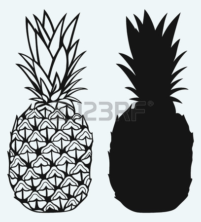 408x450 Drawing Of Pineapple Images Amp Stock Pictures. Royalty Free Drawing