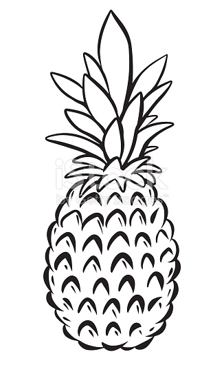 326x530 Drawn Pineapple