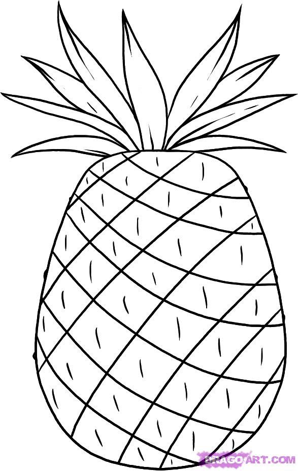 587x929 How To Draw Pineapple With A Pencil Step By Step