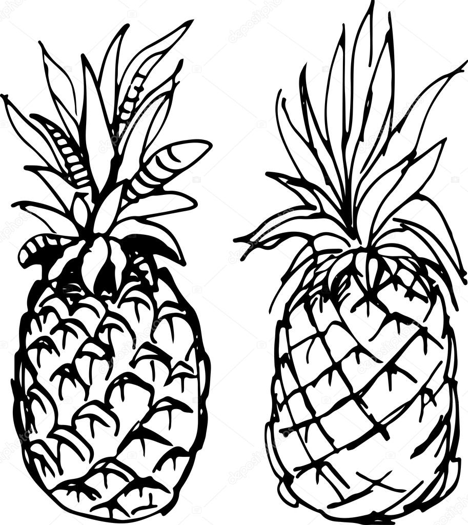 913x1024 Pineapple. Vector Illustration. Stock Vector Ledav