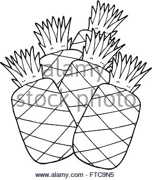 300x354 Freehand Drawn Cartoon Pineapples Stock Vector Art Amp Illustration