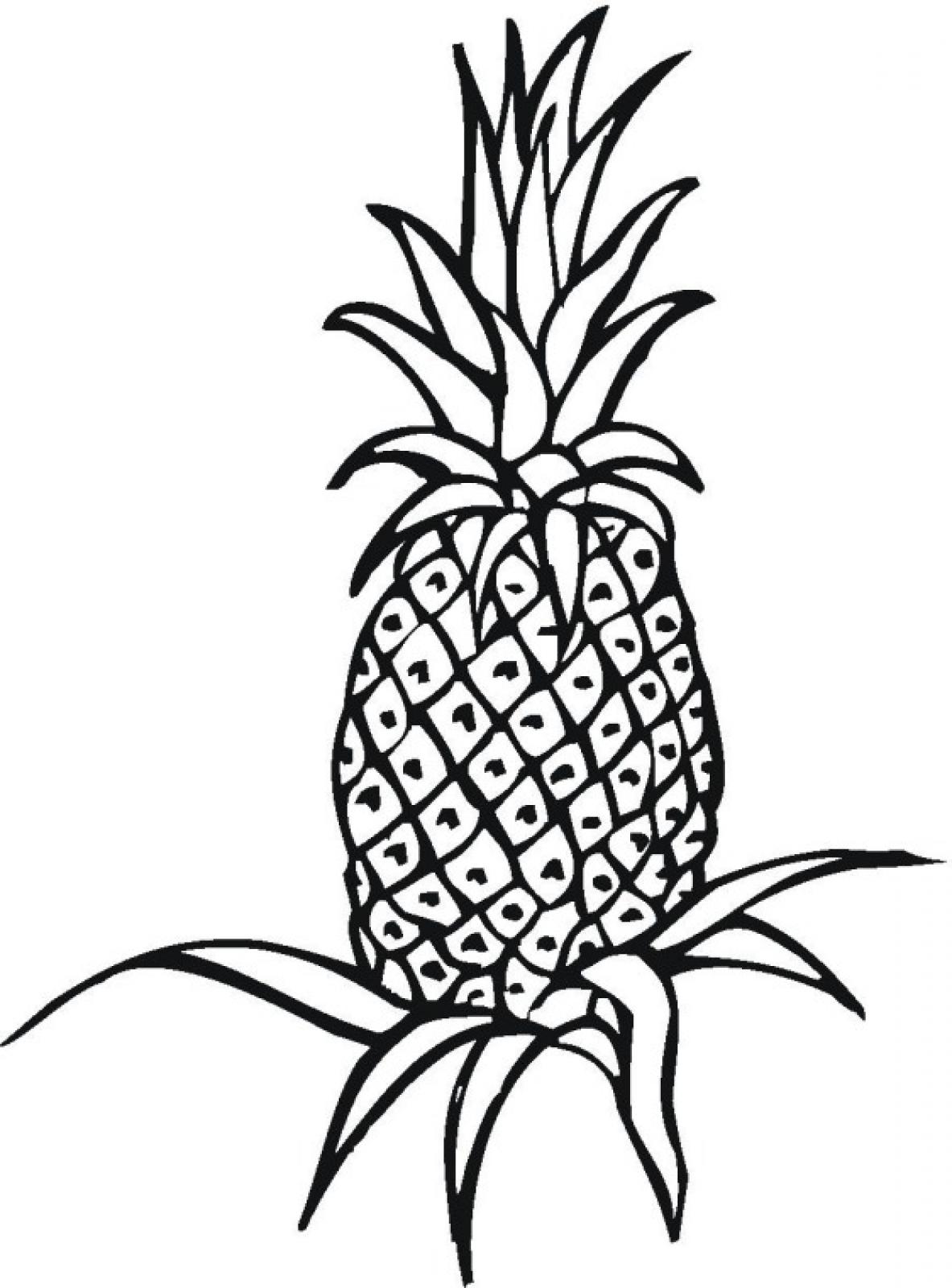 1183x1600 Coloring Pages Pineapple Coloring Page Coloring Pages
