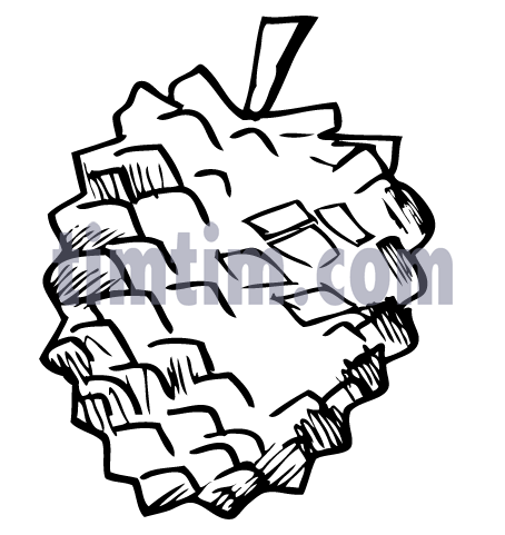 454x481 Free Drawing Of Christmas Pinecone Bw From The Category Christmas