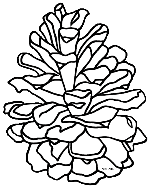 527x648 Drawn Pine Cone