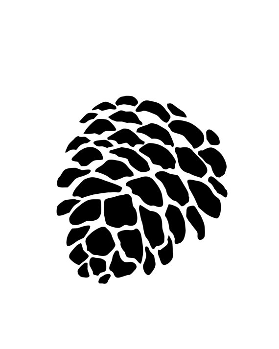 570x713 Drawn Pine Cone Abstract