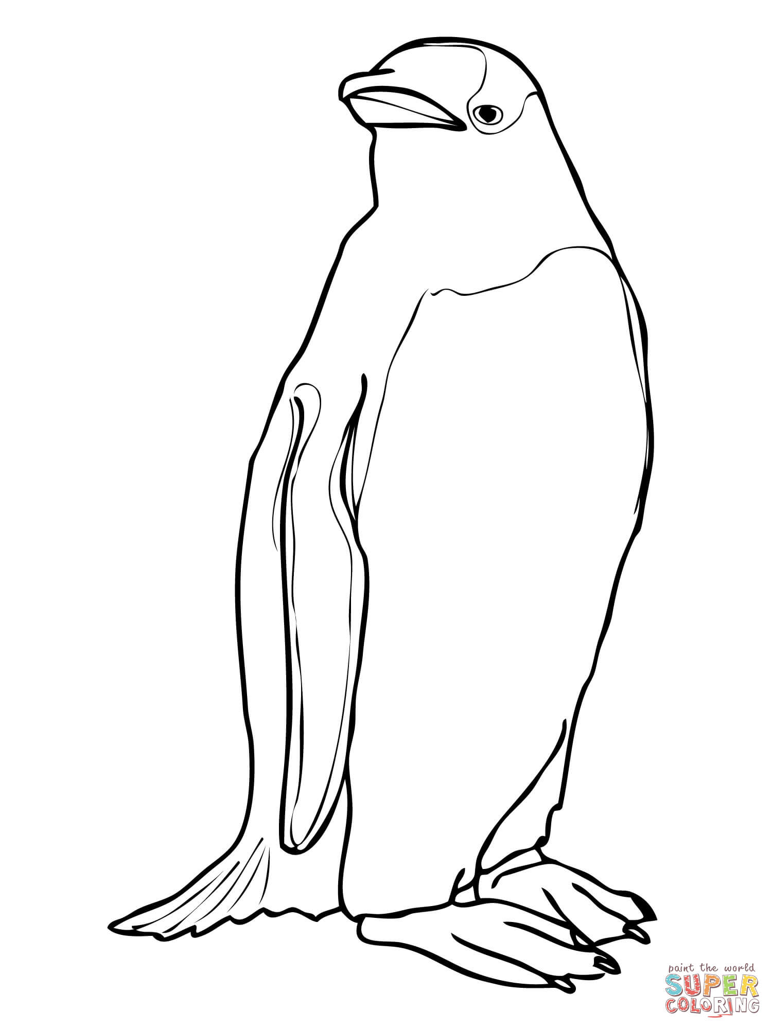 1500x2000 Gentoo Penguin Drawing