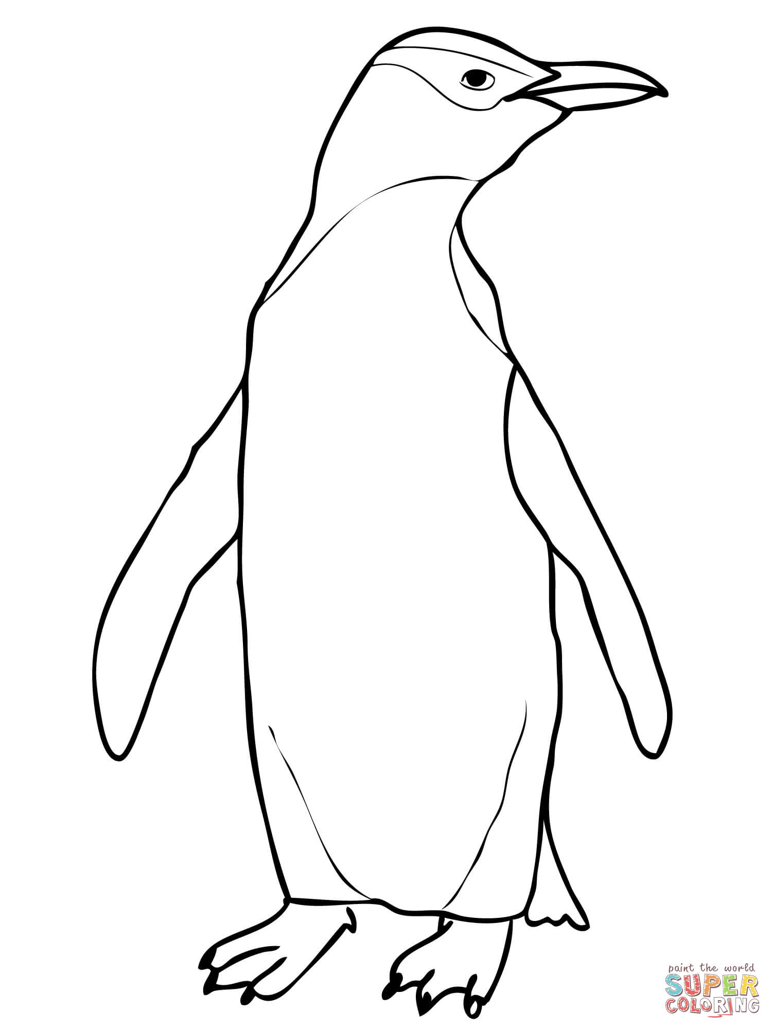 1500x2000 Hoiho Yellow Eyed Penguin Coloring Page Free Printable Coloring