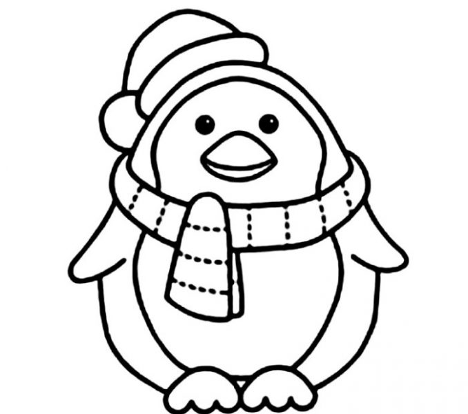 678x600 Penguin Pictures To Colour Coloring Pages