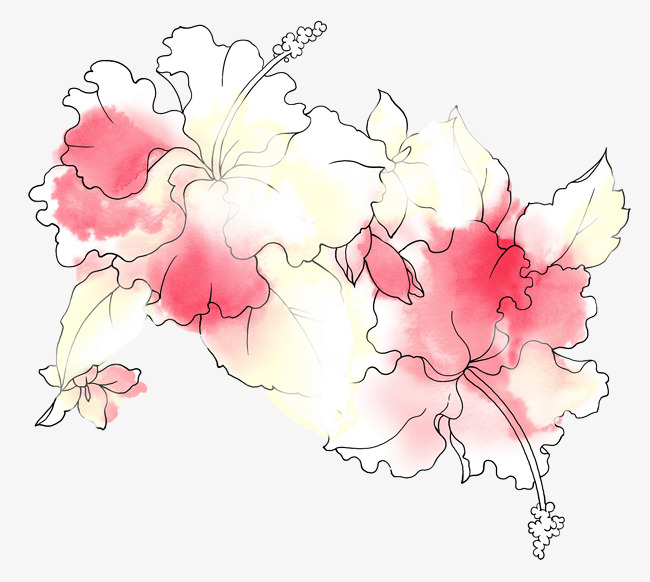 650x582 Pink Hand Painted Flowers Background, Decoration, Hand Painted