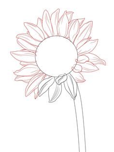 236x314 How To Draw A Sunflower Sunflowers, Drawing Flowers And Drawings