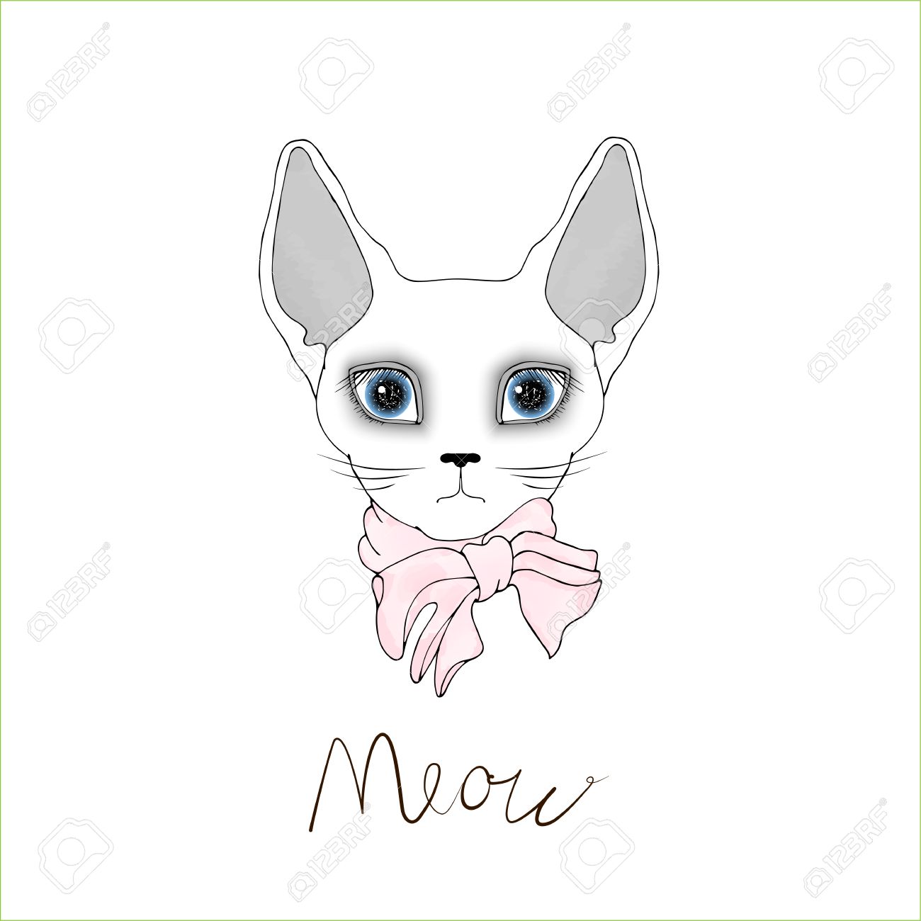 1300x1300 Egyptian Bald Cat With Blue Eyes On A White Background. White