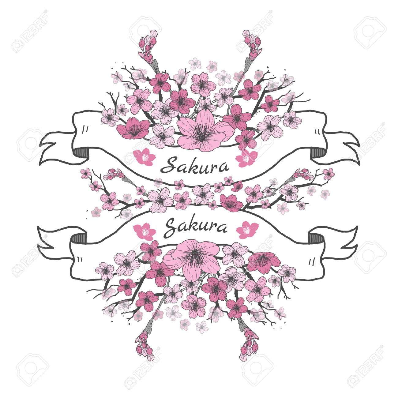 1300x1300 Flower Ribbon Of Sakura. Drawing And Sketch On White Background