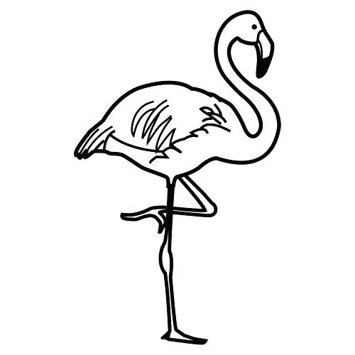 500x500 Flamingo Coloring Pages Printable Click To See Printable Version