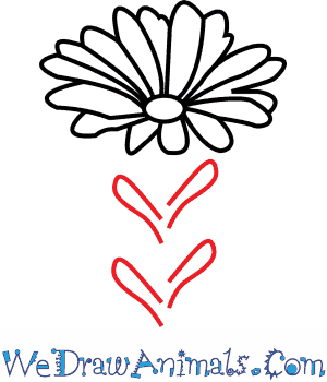 300x350 How To Draw A Pink Flower