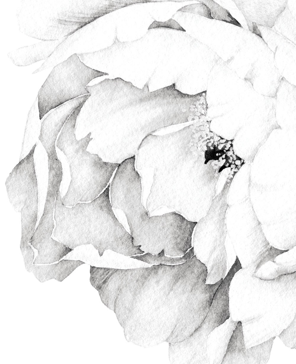 1000x1228 Peony Flowers Wall Sticker, Watercolor Peony Wall Stickers