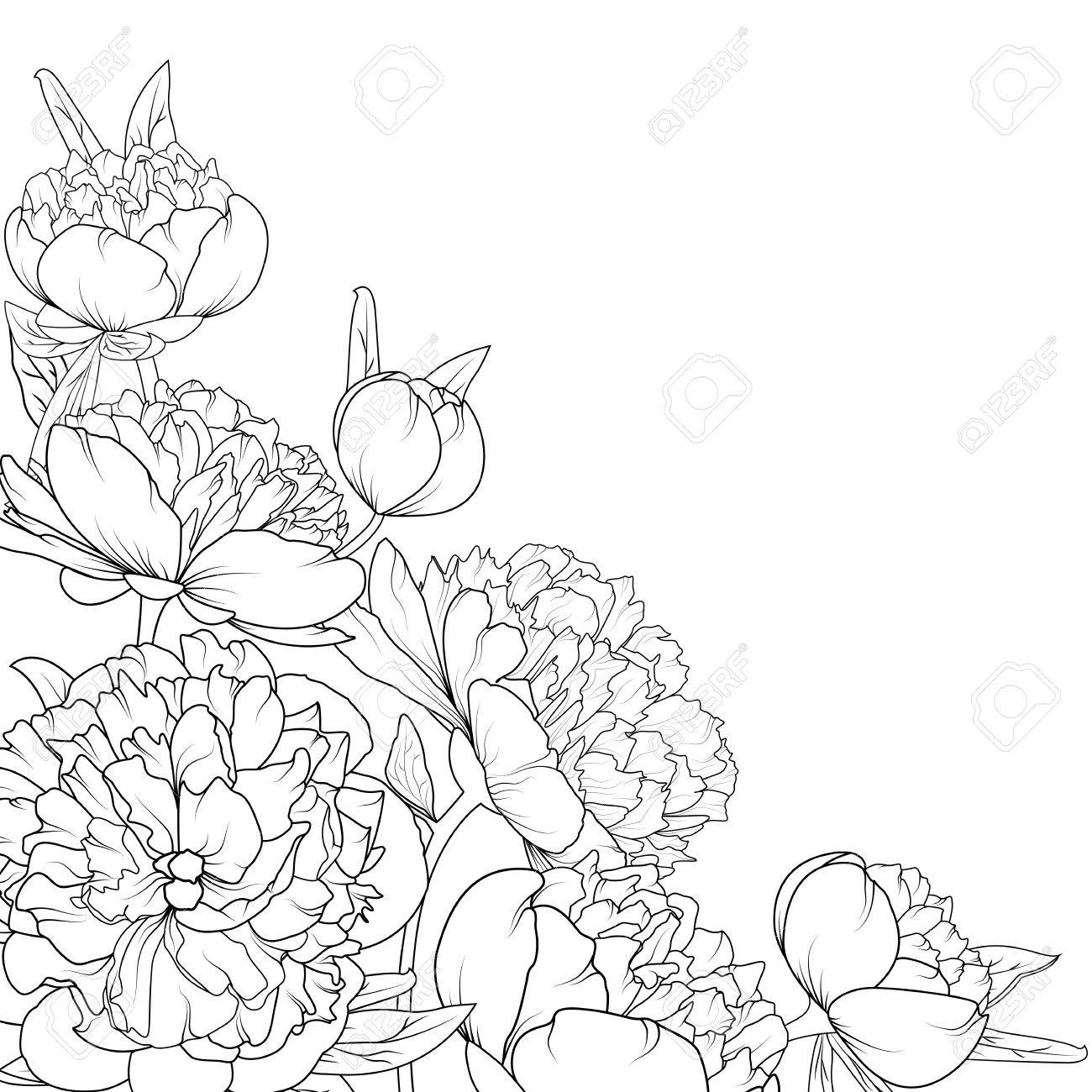1300x1300 Peony Rose Garden Spring Summer Flowers Black And White Detailed