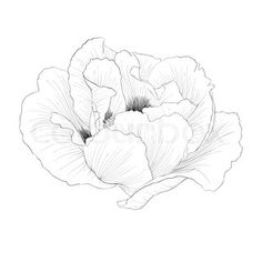 236x236 Sewing's Quick And Dirty Line Art Tutorial